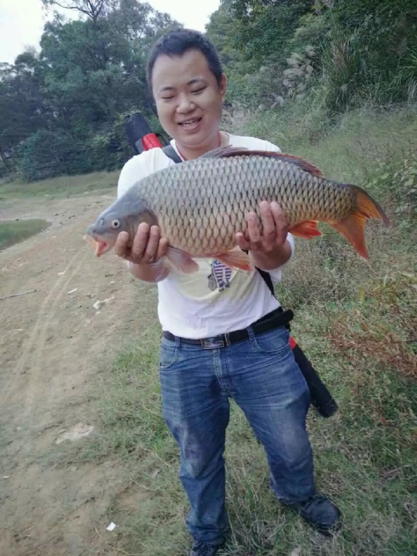 迷路的男人的第一张照片--百色相亲服务中心
